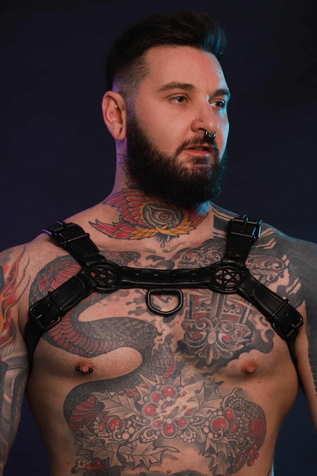 A close up of a Beast Harness in Black.