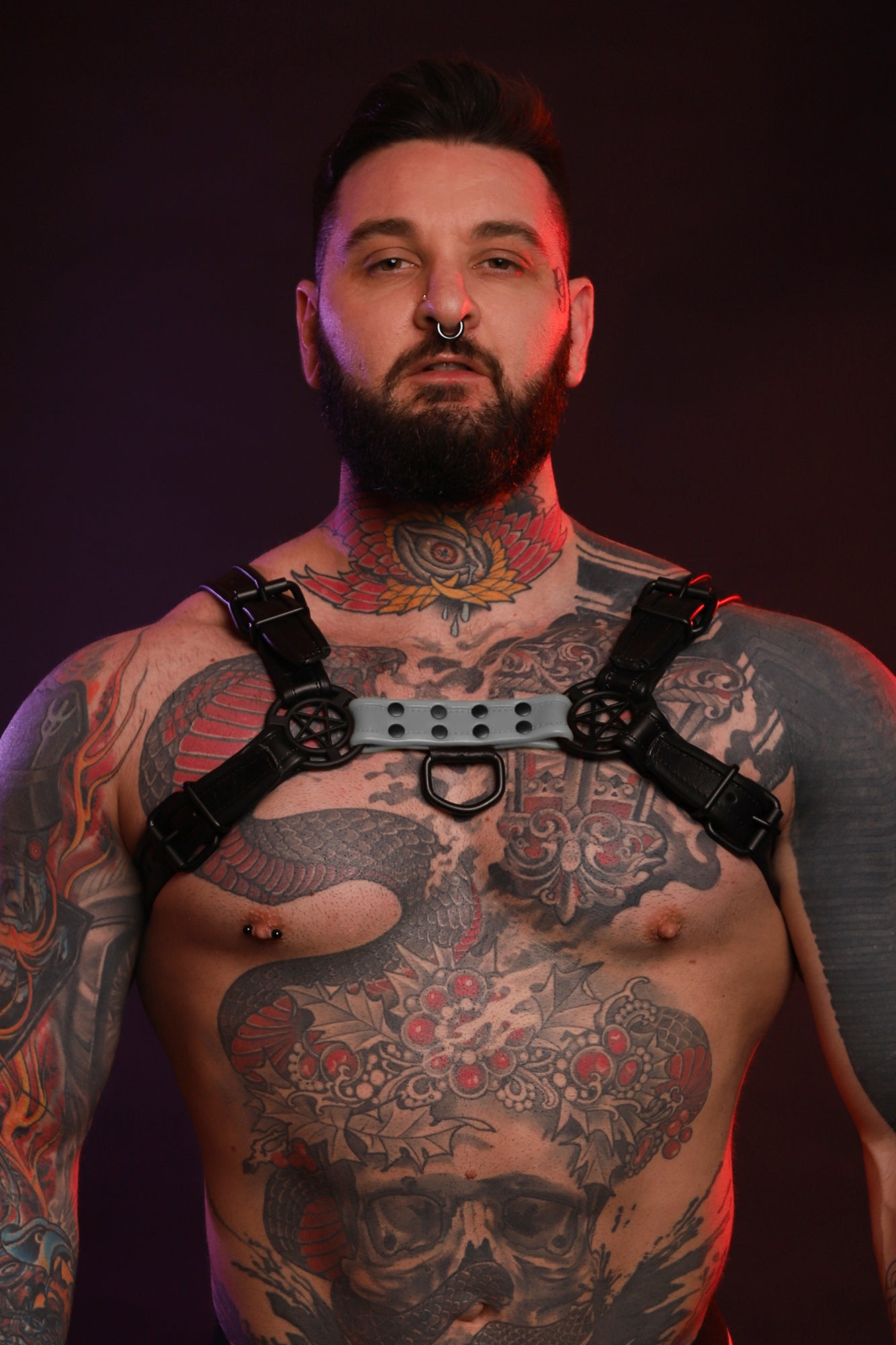 A product photo of a grey Beast Harness by Twisted Beast.