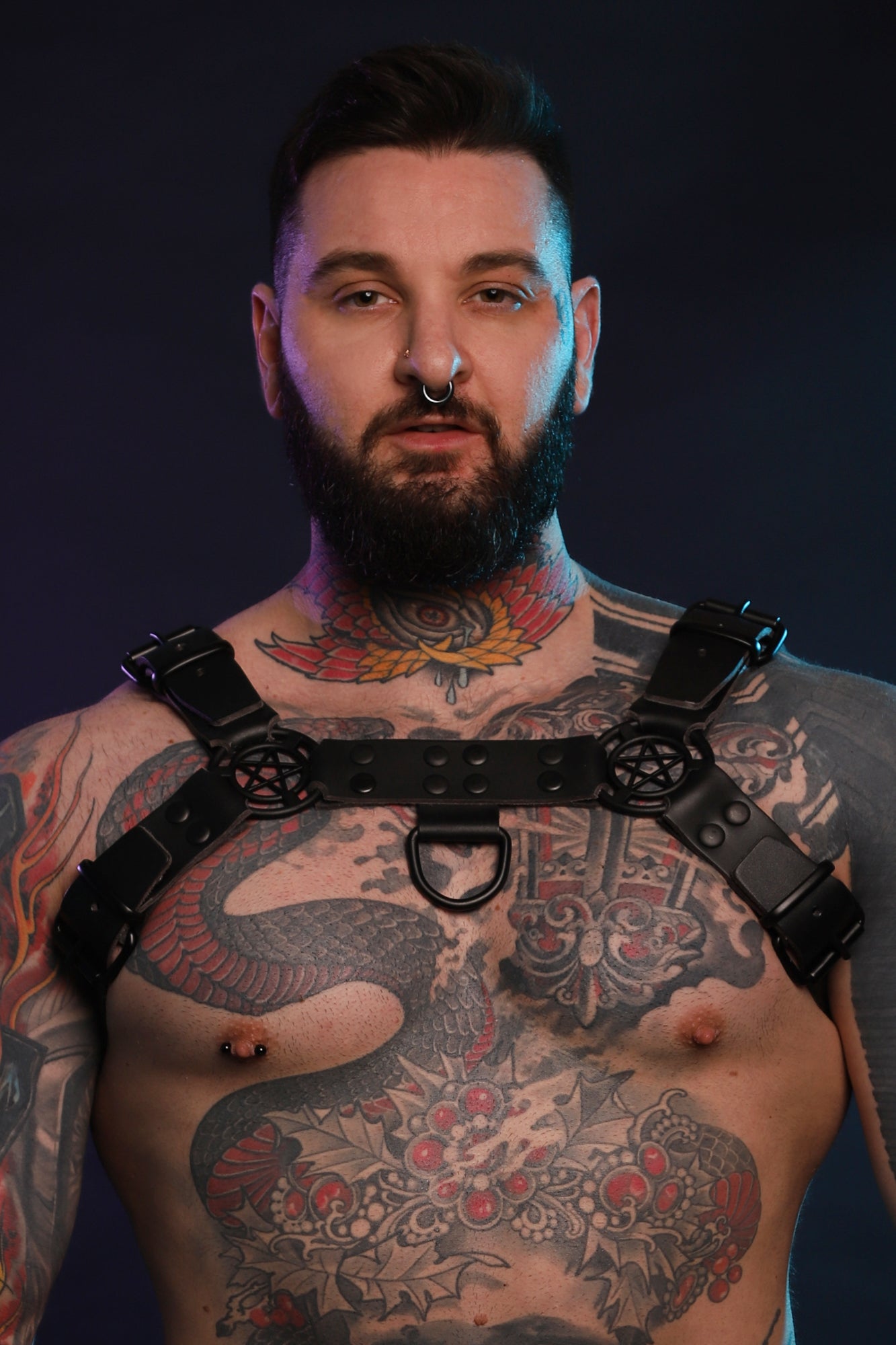 A front facing product photo of a black Beef Harness by Twisted Beast.