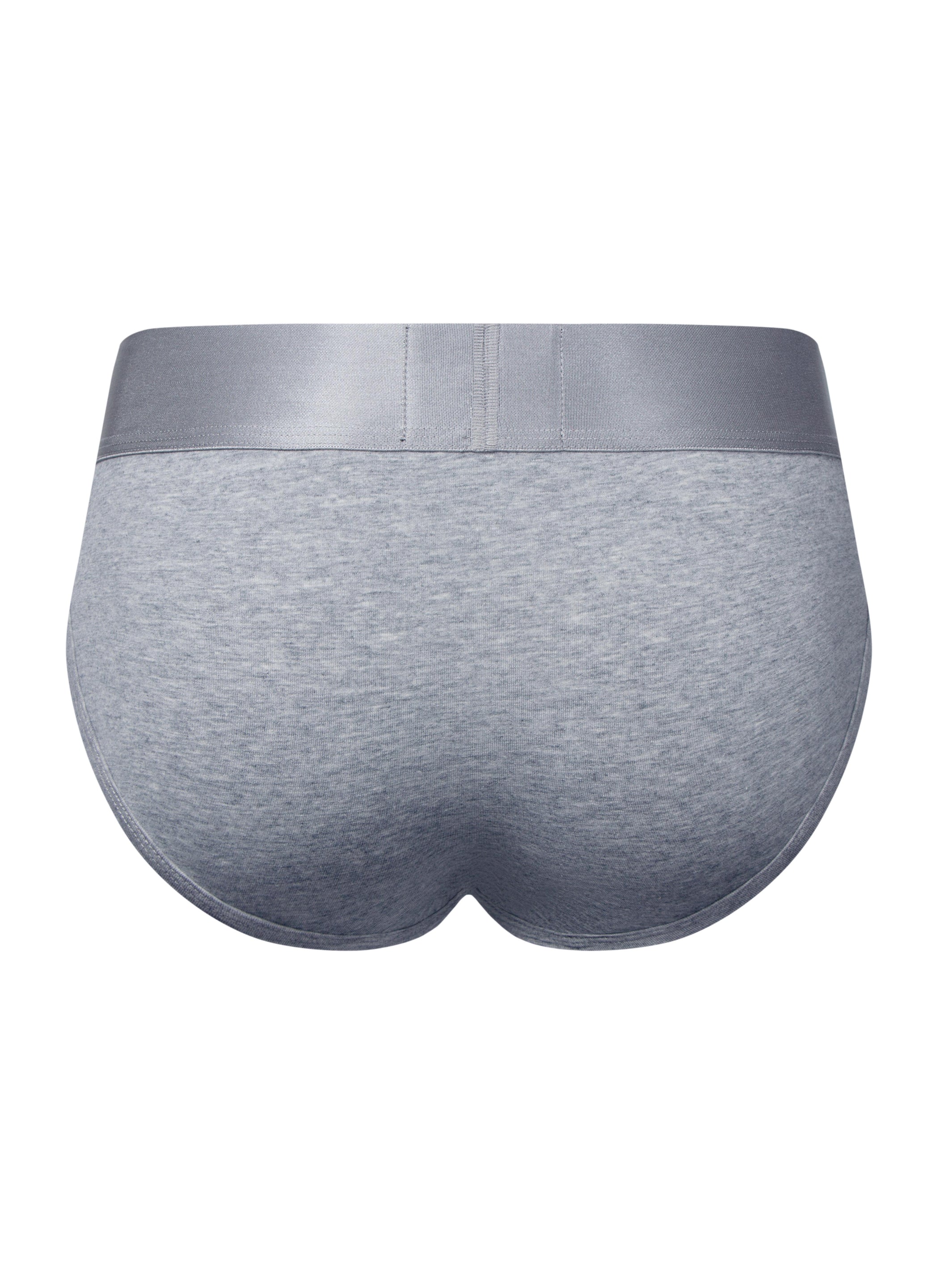 A product photo of a pair of grey Phantom Briefs taken from the back.